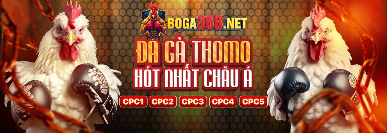 Hình ảnh chính về đá gà tại bet89 app